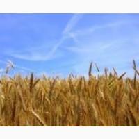 Продам фермерське господарство