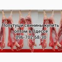 Полутуши свинины цена
