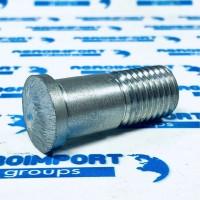 3018219 Гвинт D25/20x49/53, 5-M20 Zn (301 8219) Lemken (Лемкен)