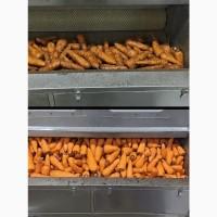 Машина для миття та очищення овочів: картоплі, моркви, буряка та ін. STvega ST H1200