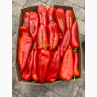 Перець Закарпаття обєми