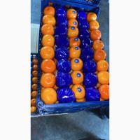 Мандарин Туреччина, Греція