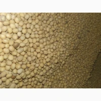 Продам сою ГМО