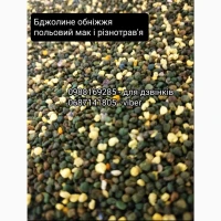 Бджолиний пилок якісний