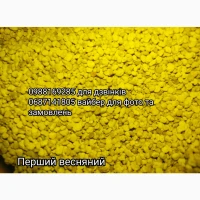 Бджолиний пилок якісний