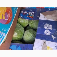 Продам капусту