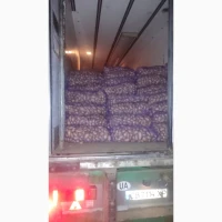 Продам качественый розовый картофель