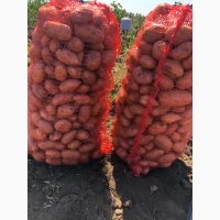 Продам качественый розовый картофель