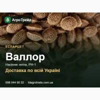 Пр0двм нвсіння еспврцету 8влл0р - елітв, РН-1