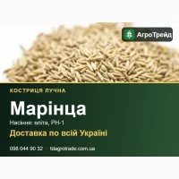 Мврінцв - к0стриця лу4нв, нвсіння елітв, РН-1 3 д0кументвми