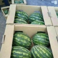 Продам арбуз