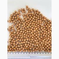 Продам нут Иордан