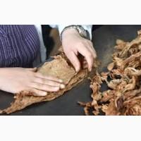 НИЗКАЯ ЦЕНА!!Сигаретные гильзы а также наполнитель для гильз разной крепости!!! звоните