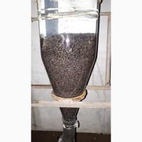 Принимаю заказы на Икру оплодотворенную, личинку, малек осетров