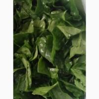 Продам свежую зелень: кинза, укроп