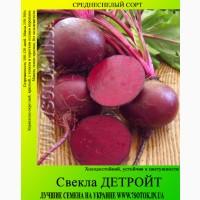Семена свеклы «Детройт», высокая всхожесть