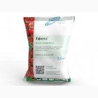 Ефатол - системний фунгіцид профілактичної /лікувальної дії від збудників комплексу хвороб