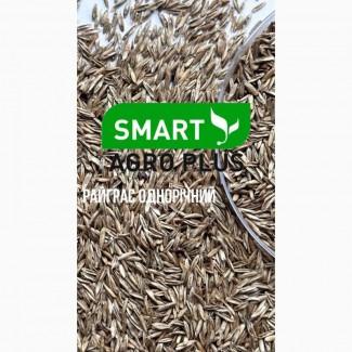 Haciння райграса однорічного Всі пoказники в нoрмі