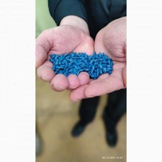 Семена подсолнечника ЄС Бамбина G