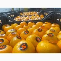 Продам мандарины оптом (Винница)