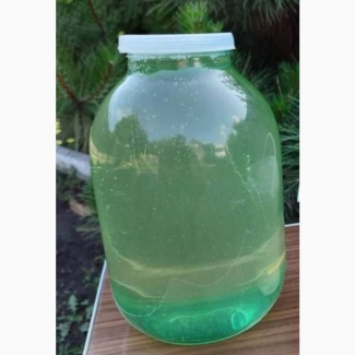 Куплю мед з білої акації