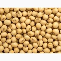 Насіння сої ГМО (під Раундап) Аполло, Ультра, Монро, Канзас, Аббі