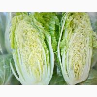 Продам пекинскую капусту