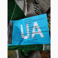 Продам насіння соняшнику ВНІС : фракц.станд Армагедон, екстра Шенон, Вегас у м. Дніпро