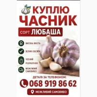 Часник Любаша