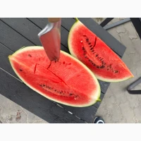 Продам кавун