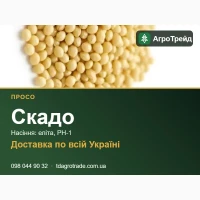Просо Скадо: насіння для посіву