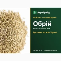 06рій - рвйгрвс пвс08ищний, нвсіння елітв, РН-1 3 д0кументвми