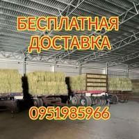 БЕСПЛАТНАЯ доставка сена лугового, люцерны, соломы в тюках