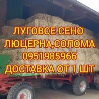 Доставка сена лугового, люцерны, соломы в тюках