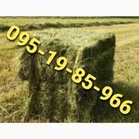 Сено в тюках мешках различных видов с доставкой на ферму