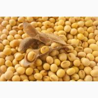 Компания купит сою