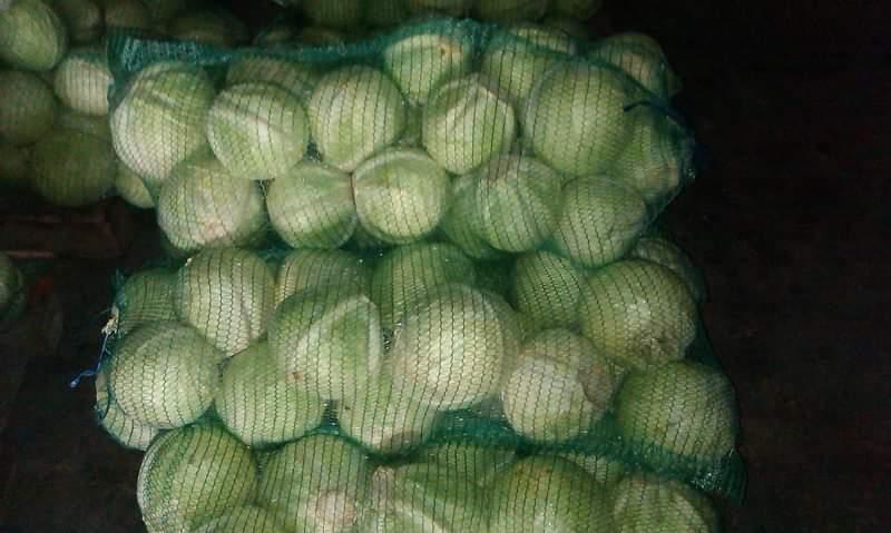 Фото 8. Маю покупців картоплі товарної та насіневої от фермерів та поставщиків с 10 тонн