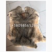 Шкуры Кроля Кролика