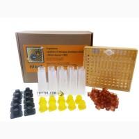 Система никот стандарт 10