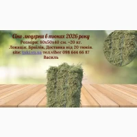Пропонуємо Тюки сіна люцерни урожаю 2026 року 1 укіс сіно в тюках