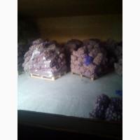 Продам товарный картофель