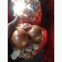 Оптовая продажа качественного лука из Турции