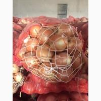 Оптовая продажа качественного лука из Турции