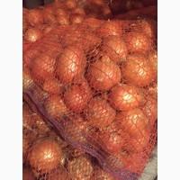 Продам лук репчатый 3.5 грн