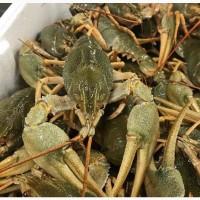 Закупаем Живые Раки