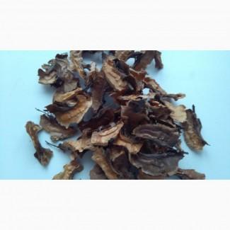 Продам перетинки горіха 100 грн. кг