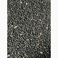 Продам квасолю чорну (урожай 2024, від 20т)