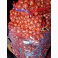 Продам товарный лук