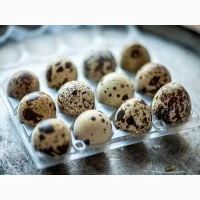 Яйця перепілки