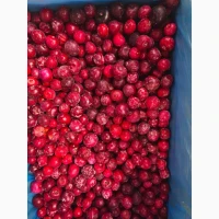 Продам вишню охолоджену/заморожену
